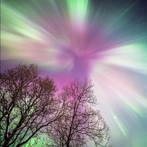 Meet your Posher, Raina